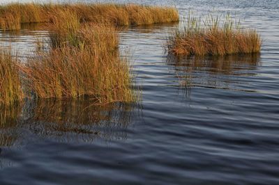 Scenic view of lake