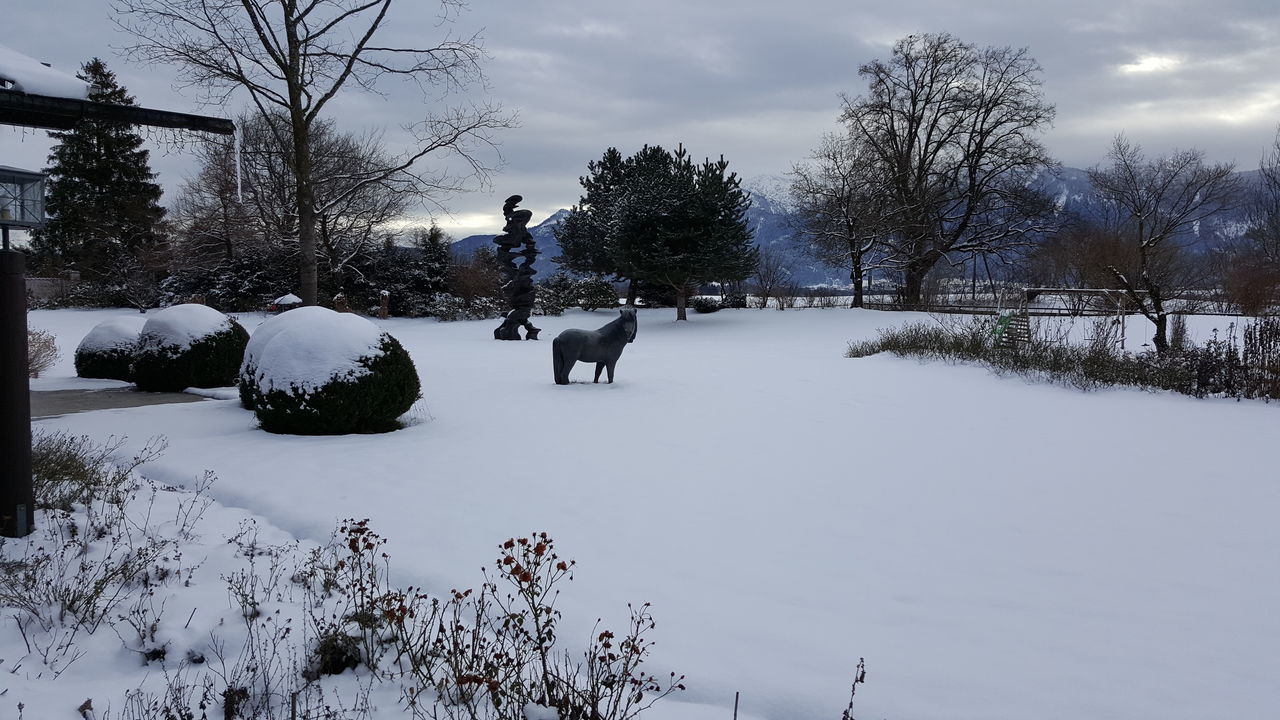 domestic animals, dog, pets, winter, tree, animal themes, nature, bare tree, cold temperature, mammal, walking, outdoors, snow, real people, rear view, beauty in nature, day, sky, one animal, scenics, full length, one person, people