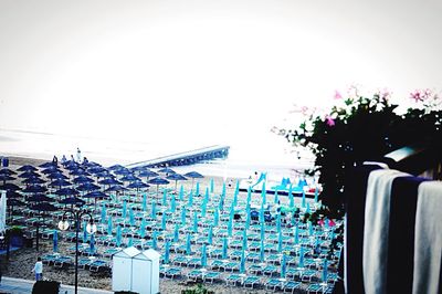 Close-up of food in the dark