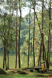 Woman sitting by trees in forest