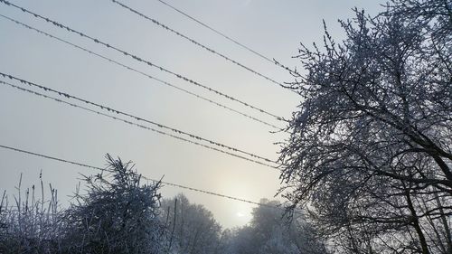 Low angle view of birds against clear sky