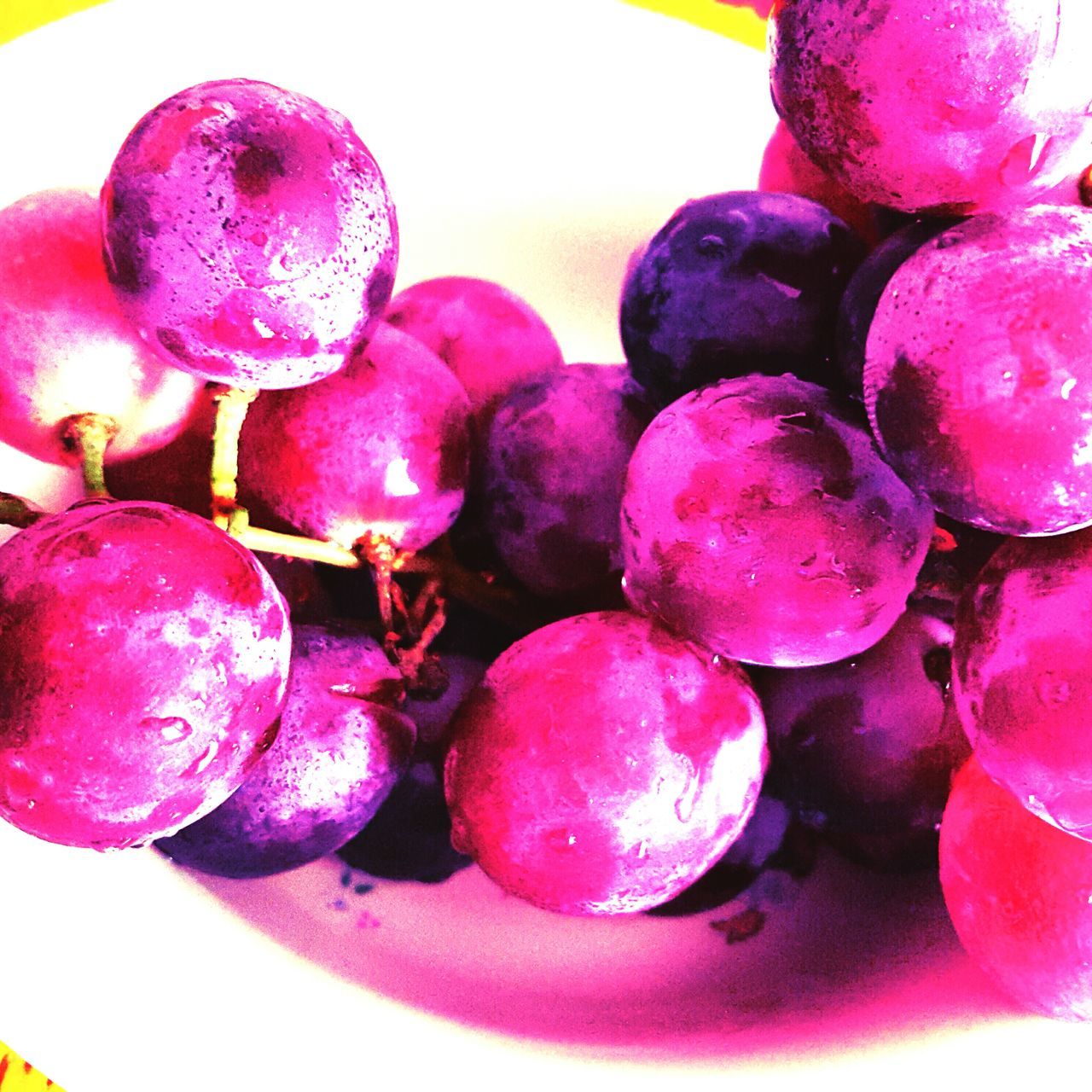 freshness, food and drink, fruit, food, close-up, healthy eating, indoors, still life, pink color, red, large group of objects, sweet food, ripe, abundance, no people, focus on foreground, multi colored, purple, blueberry, berry fruit