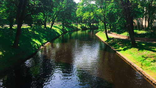 Scenic view of river with trees in background