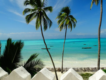 Palm trees by swimming pool against sky