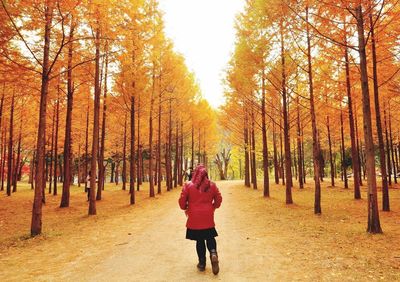 Rear view of woman standing in forest during autumn