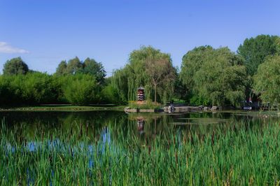 Scenic view of lake by trees against clear sky