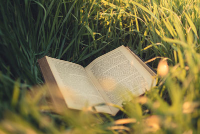 Close-up of open book on field