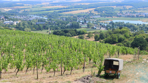 Moselle valley and river seen from point de vue remich in luxembourg