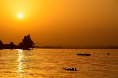 Silhouette swans on lake against orange sky