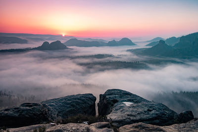 Misty morning on cliff in saxon switzerland national park. artistic style post processed photo