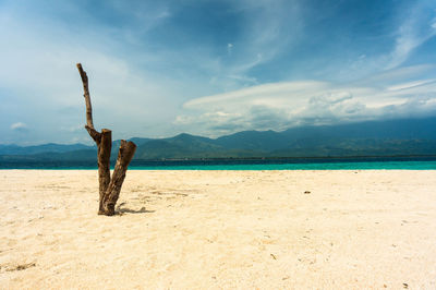 Scenic view of beach against sky