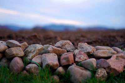 Close-up of rocks on field