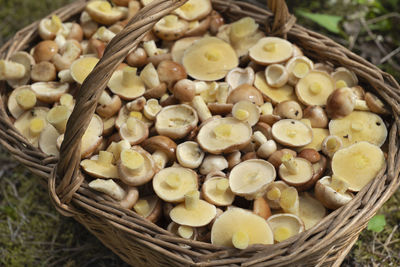 High angle view of walnuts in wicker basket