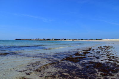 Scenic view of beach against blue sky