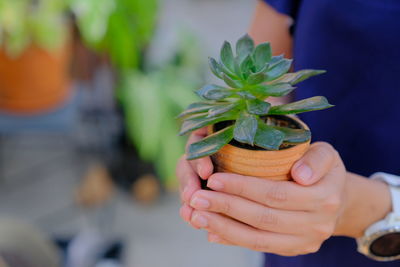 Midsection of woman holding potted plant