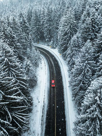 Aerial view of snow covered road in forest