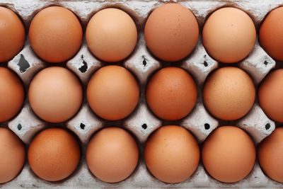Directly above shot of eggs in row