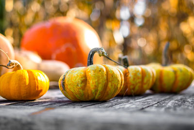 Close-up of pumpkins on wooden table
