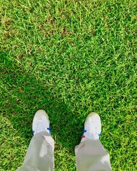 Low section of man standing on grass