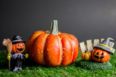 Close-up of pumpkin against black background
