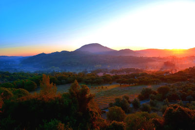 Scenic view of field against clear sky during sunset