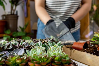 Midsection of woman planting