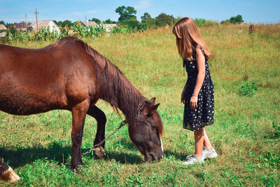 Horse grazing on field