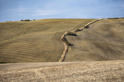 Orcia valley, siena province, tuscany district, italy, europe