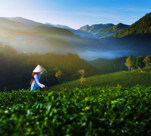 High angle view of woman working at tea plantation