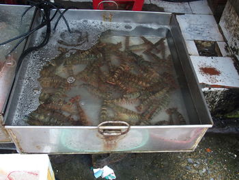 Close-up of food on table