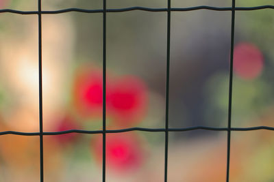 Full frame shot of multi colored fence