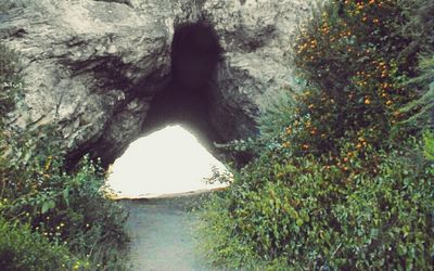 View of tunnel