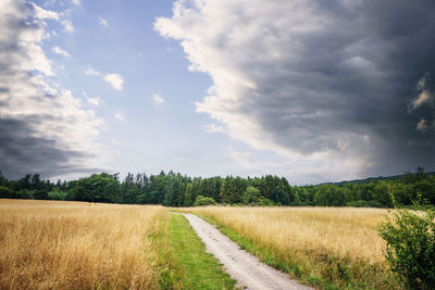 Rural dirt road surrounded by golden field in the summer under a cloudy sky