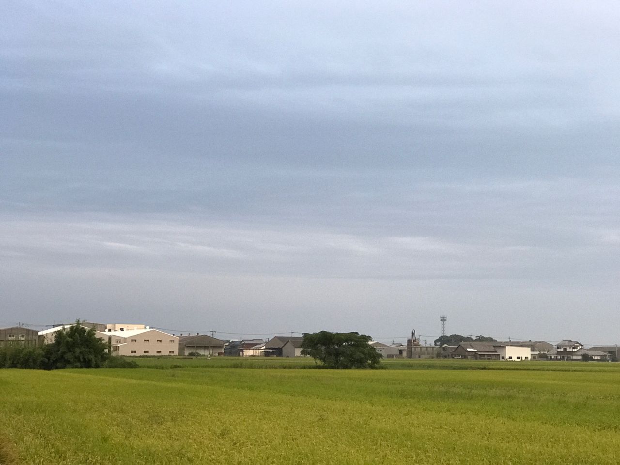 architecture, built structure, building exterior, house, sky, field, landscape, grass, day, tree, tranquil scene, tranquility, country house, residential building, outdoors, scenics, no people, nature, cloud - sky, rural scene, beauty in nature, agriculture, farmhouse