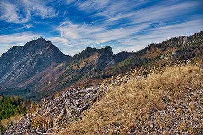 Scenic view of landscape against sky