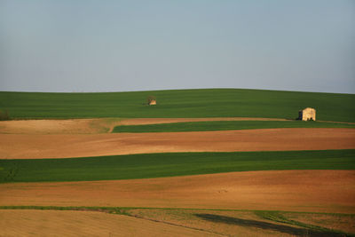 Scenic view of field against clear sky