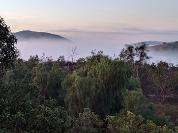 Scenic view of landscape against sky during sunset