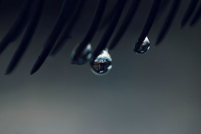 Close-up of water drop