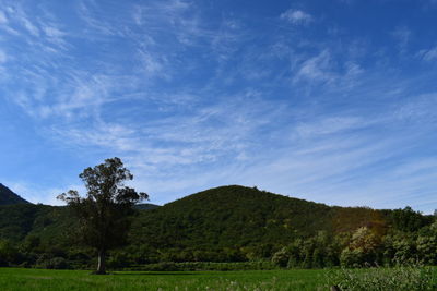 Countryside landscape against mountain range