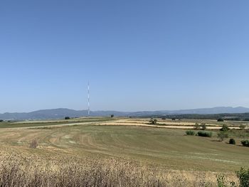 Scenic view of agricultural field against clear blue sky