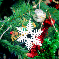 Close-up of christmas decoration hanging on tree