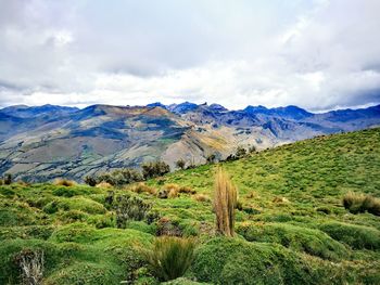 Scenic view of landscape against sky