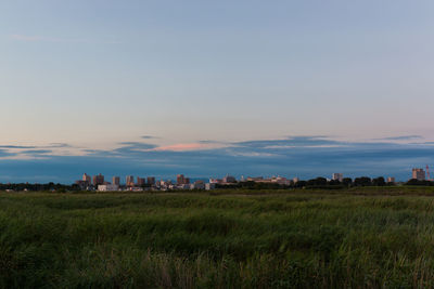 Scenic view of field against sky during sunset