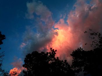 Low angle view of silhouette trees against sky during sunset