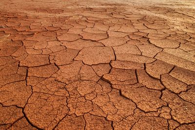 Close-up of cracked land