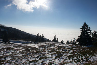 Looking at horizon from above snow covered mountain peak and clouds in winter on a sunny day