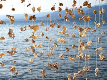 High angle view of birds in sea