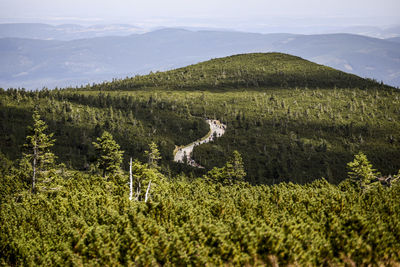 Scenic view of landscape