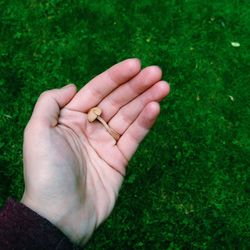 Close-up of cropped hand holding plant