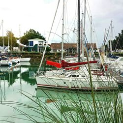 Boats in harbor